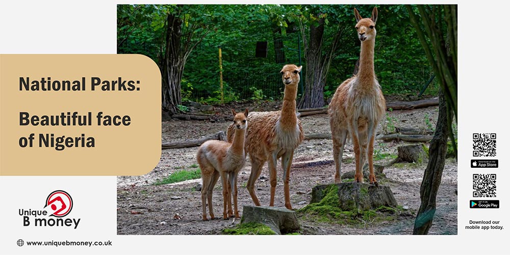 National Parks: Beautiful face of Nigeria